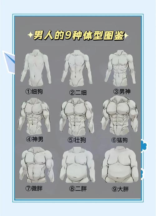 什么样的男性身材最能讨女人喜欢？