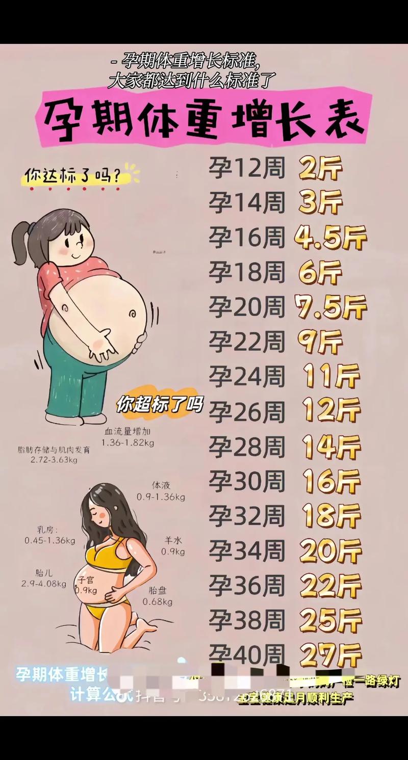 孕妇肥胖是否会导致胎儿死亡率的增加？