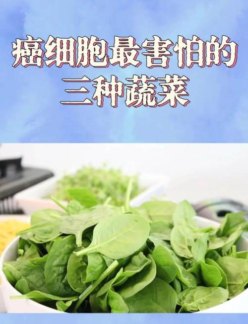 远离癌症，只需长期坚持吃一种蔬菜，你做到了吗？