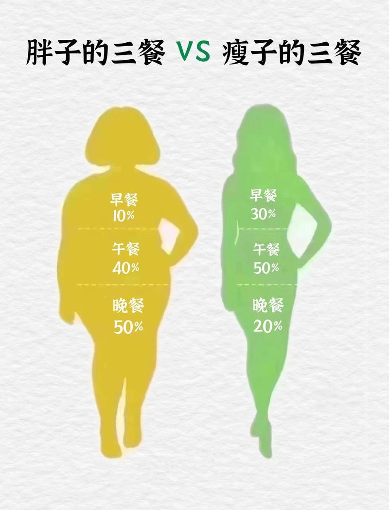胖人和瘦人在饮食上有哪些不同习惯的饮食习惯差异？