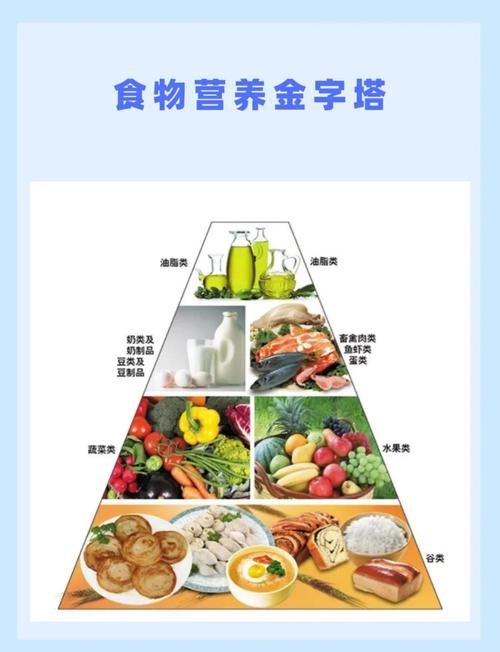 什么样的饮食结构才能算得上是最合理的呢？