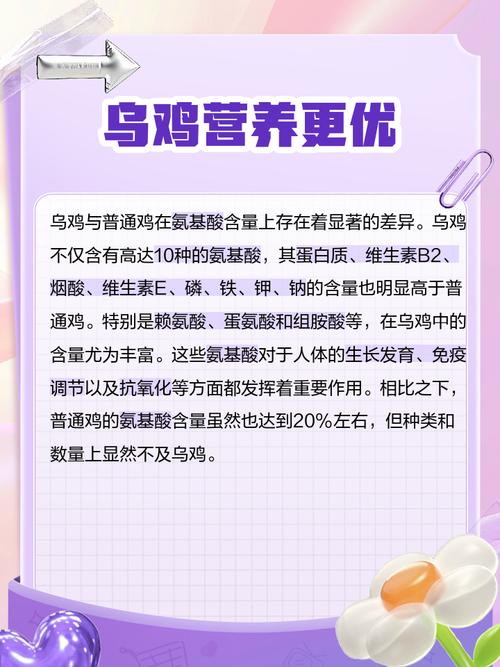 乌鸡的营养价值与哪些食材相比更胜一筹？