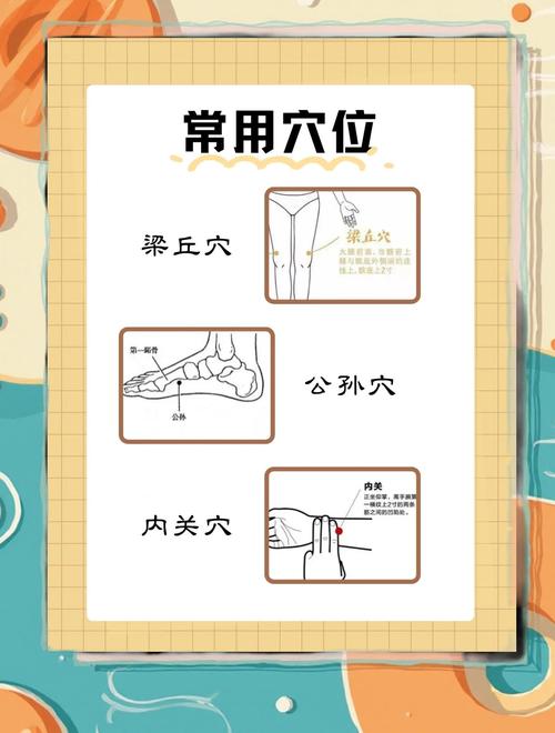 针灸结合食疗法，如何轻松减肥不反弹？