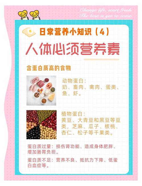 隔天聚餐需要补充哪些营养素才能满足身体需求？