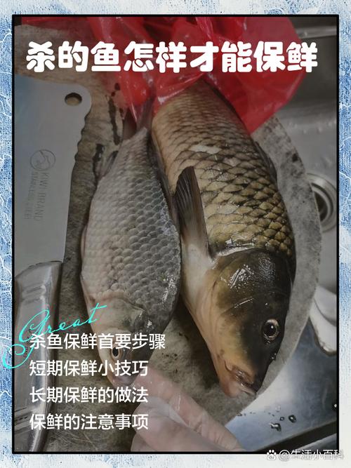 如何有效地保持活鱼鲜活状态？