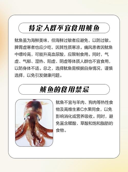 鱿鱼真的等于40口肥肉吗？如何安心享用鱿鱼而不担心健康？