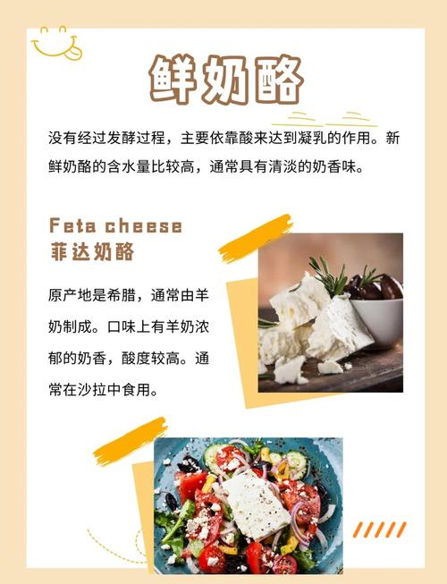 吃奶油和奶酪真的能帮助保持身材吗？