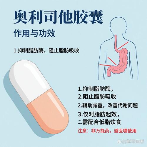 减肥西药是如何通过调节人体代谢和食欲来达到减重的？