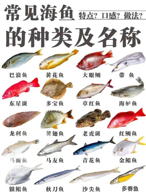 秋季有哪些美味海鱼既能满足挑剔味蕾又助减肥呢？