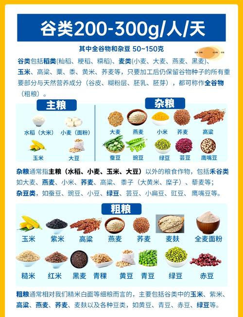 每天应该吃多少食物，如何自测我的饮食摄入量？