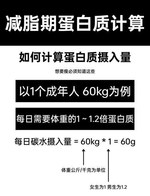 哪种蛋白质减肥法最营养且适合长期坚持？