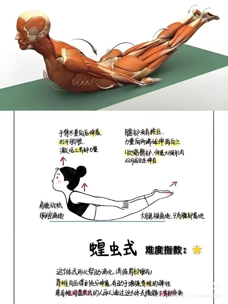 如何通过简单俯卧摆腿运动有效摆脱粗壮腿的困扰？