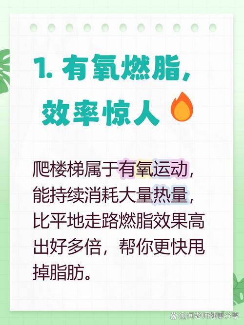 走路、挤公交、爬楼梯这些日常活动，真的能帮助减肥吗？