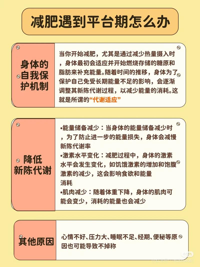 减肥过程中，体重停滞期是正常现象吗？