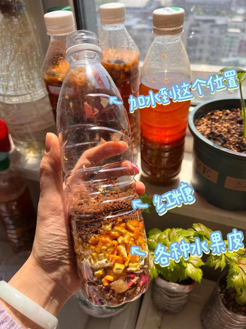 如何通过1分钟自制酵素来有效甩掉肥膘？