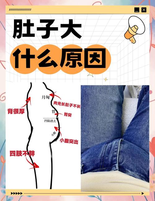 为什么吃得不多的人肚子却会变得很大？