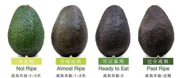 这个减肥产品里都含有哪些天然成分呢？