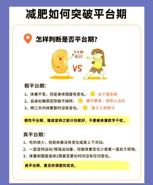 如何突破减肥停滞期，找到持续减重的有效方法？