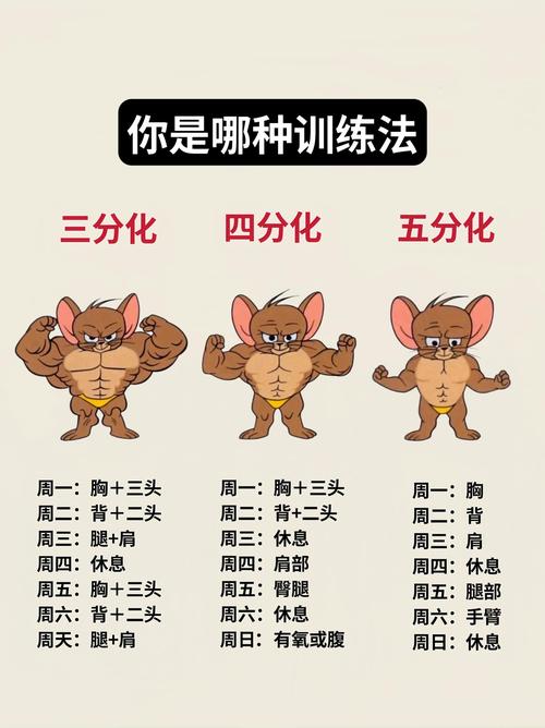 如何通过脑力交战有效实施减肥计划？