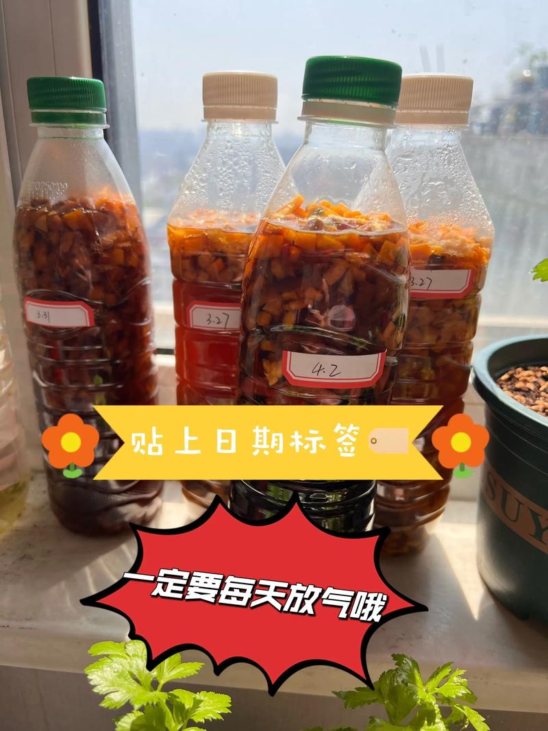 如何通过1分钟自制酵素来有效甩掉肥膘？