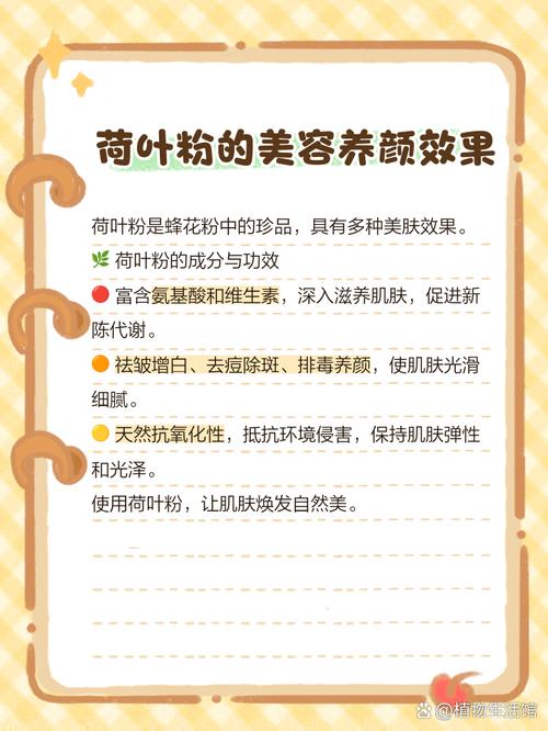 苦瓜粉荷叶粉真的能疯狂减掉脂肪吗？