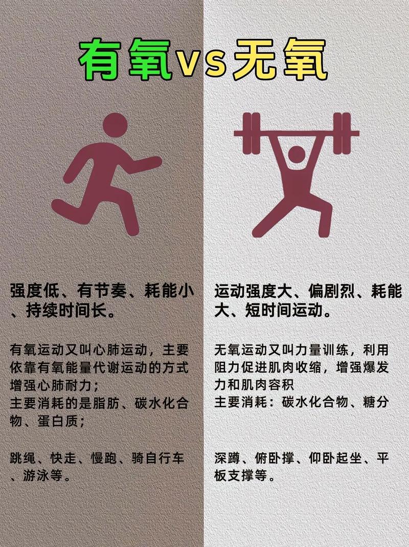 有氧运动和无氧运动之间有哪些本质区别？