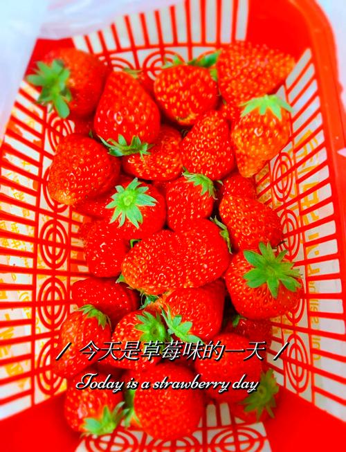 草莓和牛奶作为五大美白牙齿食物，效果究竟如何呢？