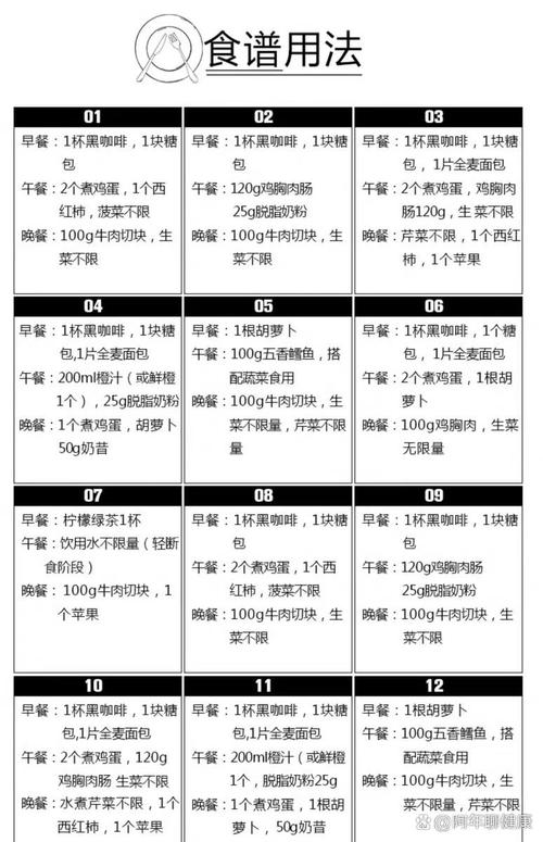 哥本哈根减肥法食谱完整版具体包含哪些食物和餐次？
