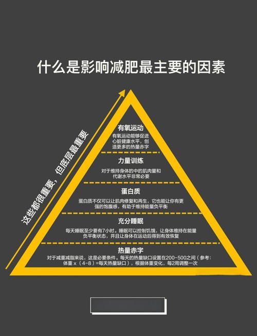 减肥成功与否，究竟与哪些关键因素有关？