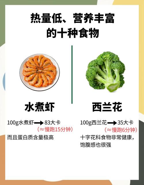 低热量饮食真的能成功减肥吗？别再被谎言误导了！