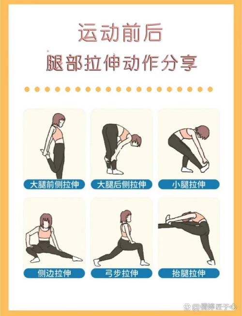 如何进行6项基本的腿部拉伸练习以达到最佳效果？