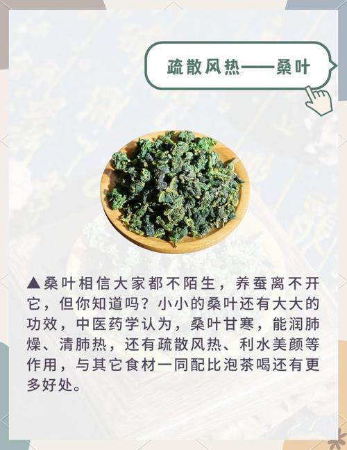 桑叶茶真的能帮助消除体内多余的脂肪吗？