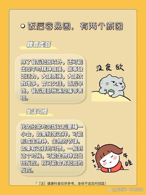 为什么高脂食物会导致人感到疲倦和犯困呢？
