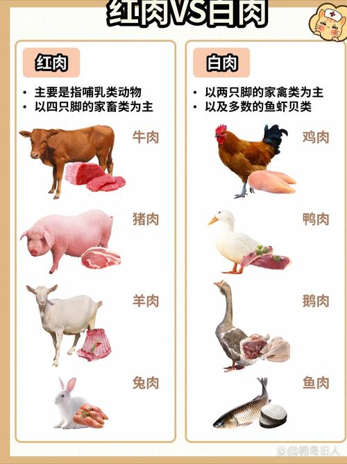 白肉与红肉营养对比，哪种肉类更富含营养元素？