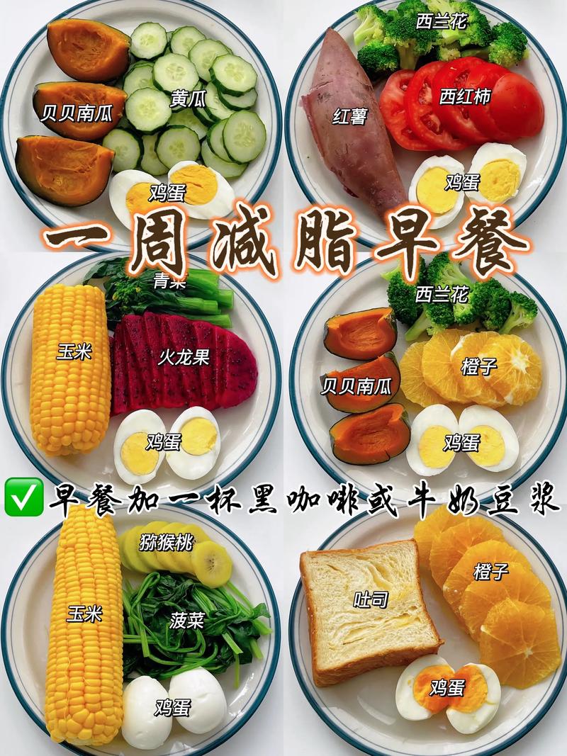 有哪些低脂肪的肉类适合健康饮食？