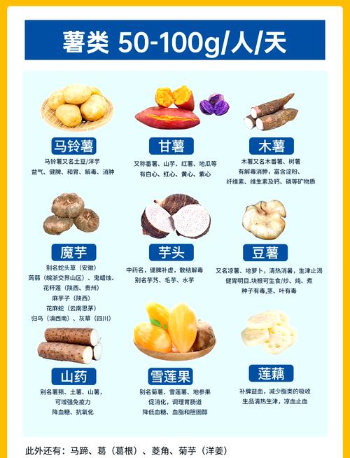 每天应该吃多少食物，如何自测我的饮食摄入量？