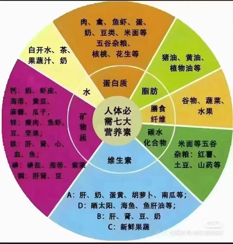 女人每天需要补充哪些10种关键营养素？