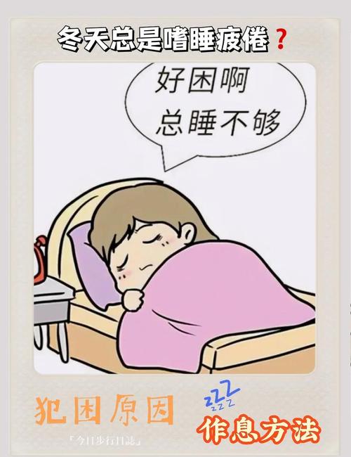 冬天早晨为何总是难以从床上爬起？
