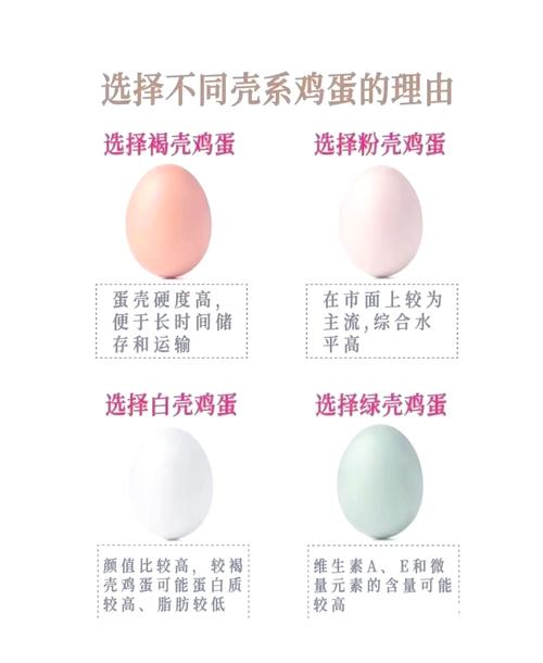 为什么早餐要吃鸡蛋？这7个理由让你不得不尝试！