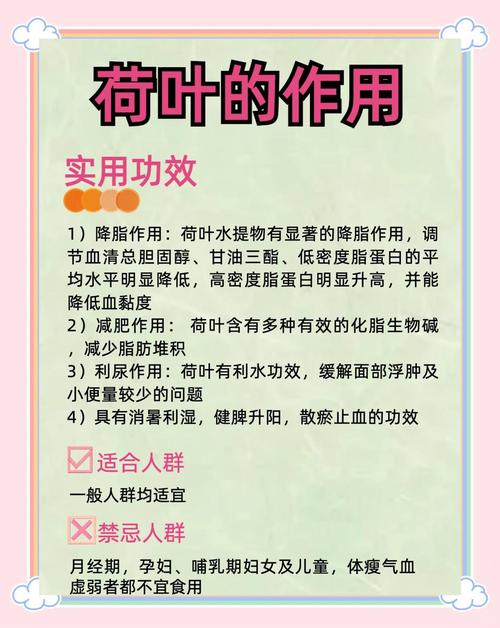 荷叶减肥真的那么神奇吗？能轻松减掉十几斤吗？
