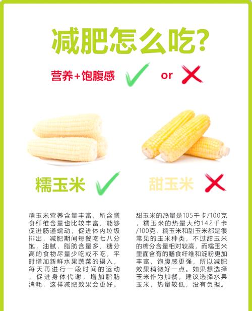 夏日吃玉米能帮助减肥，塑造魔鬼身材吗？