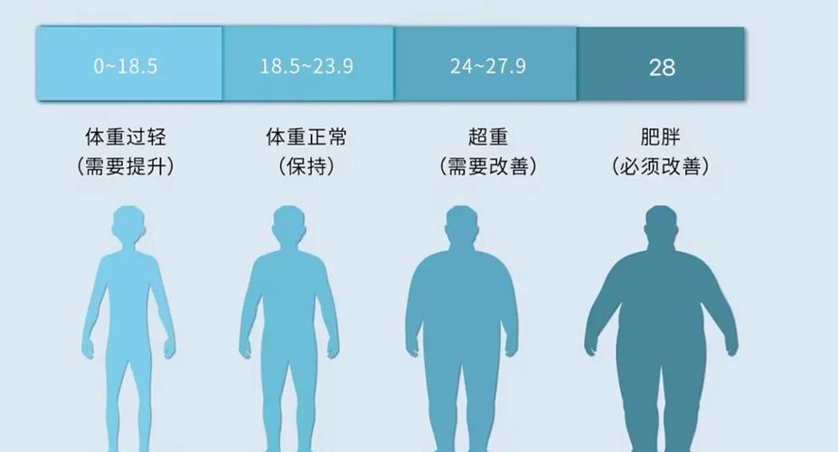 我国不同年龄段人群的肥胖率是多少？