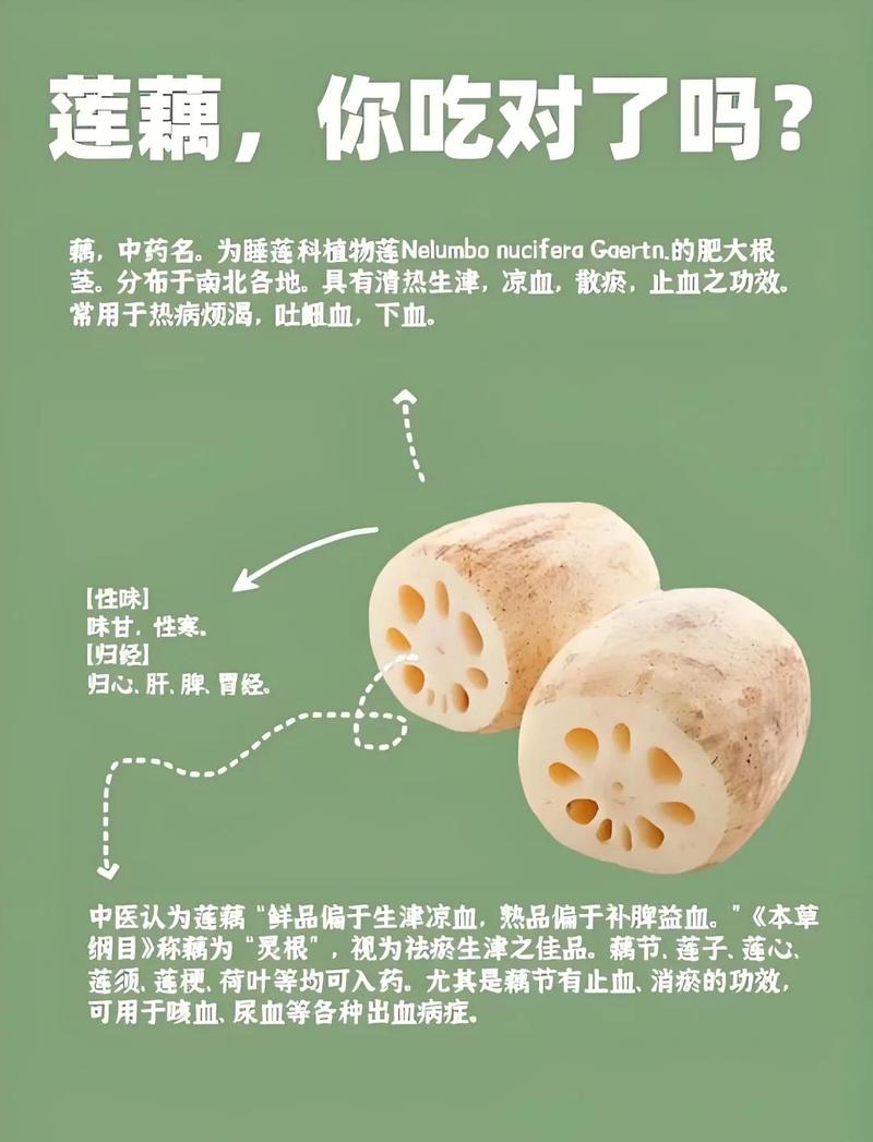 秋季吃莲藕有哪些意想不到的保健功效呢？