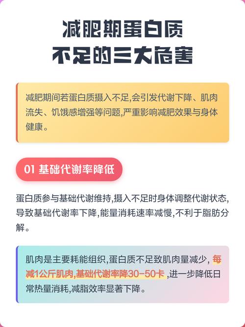 减肥期间蛋白质摄入不足会导致什么后果？