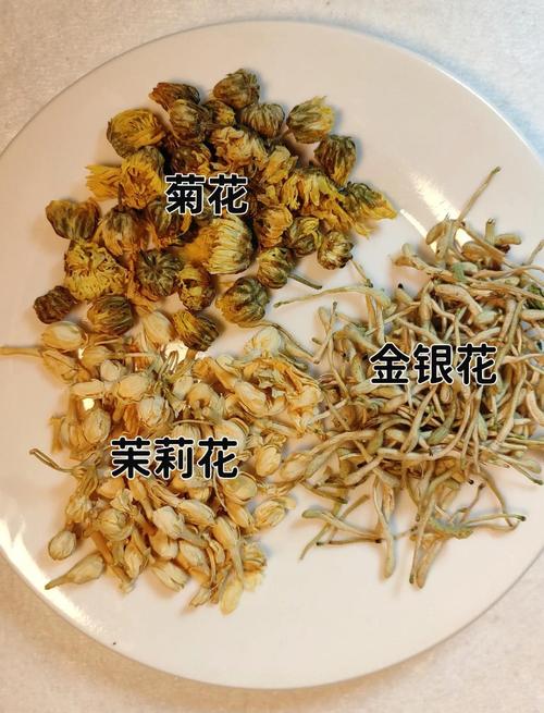 三伏天如何通过清火排毒减肥茶摆脱燥热？