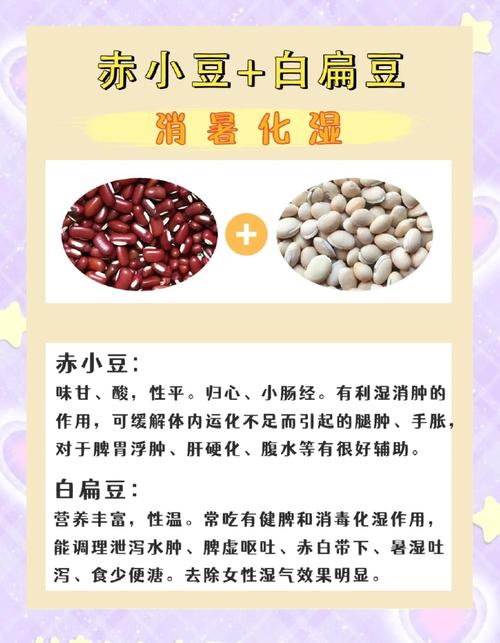 夏天多吃豆豆能减掉多余肉肉吗？