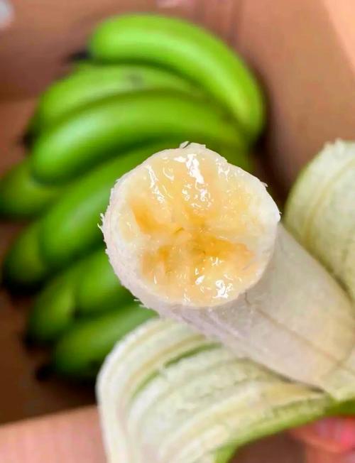 吃绿香蕉真的能让人长时间不饿吗？