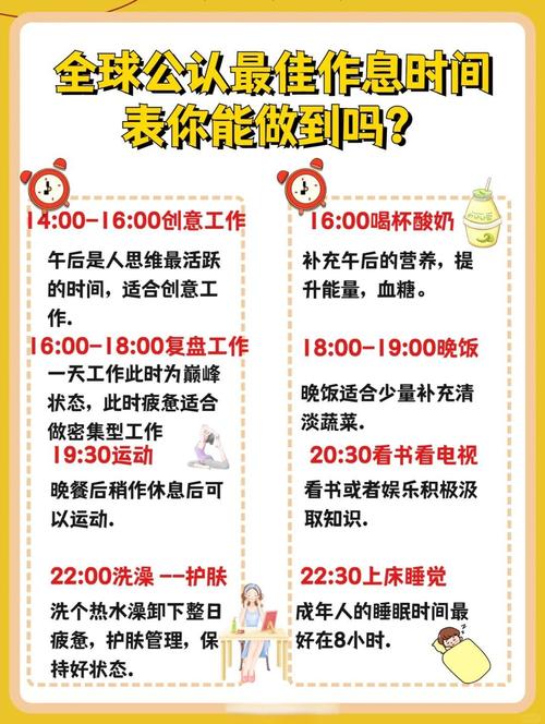 将用餐时间控制在20分钟内，这样的安排合适吗？