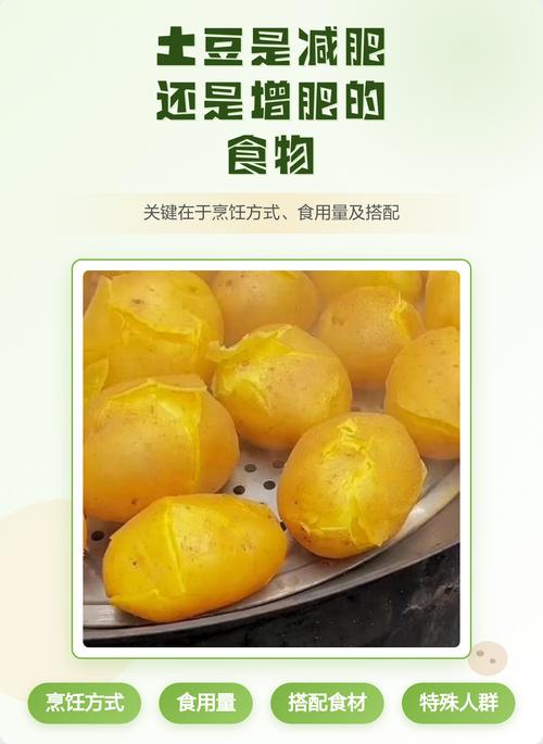 薯类食物是增肥还是减肥的最佳选择呢？