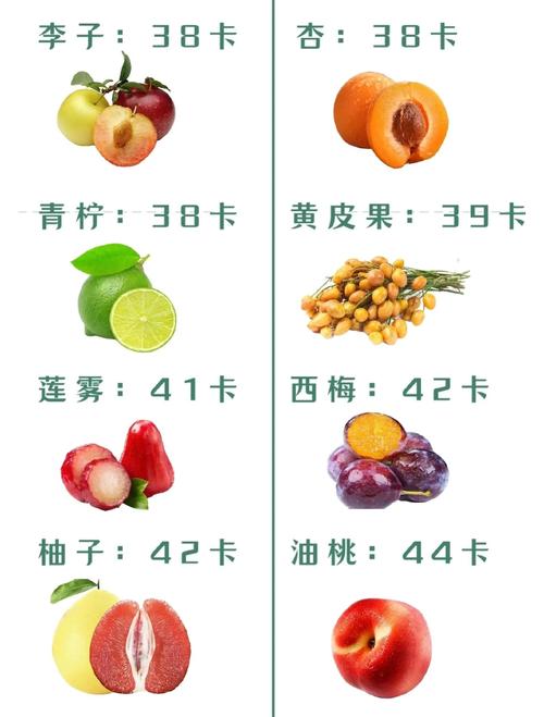 一份水果究竟包含多少克或斤？